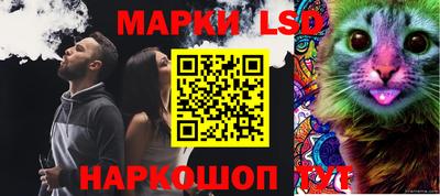 a pvp Краснодар