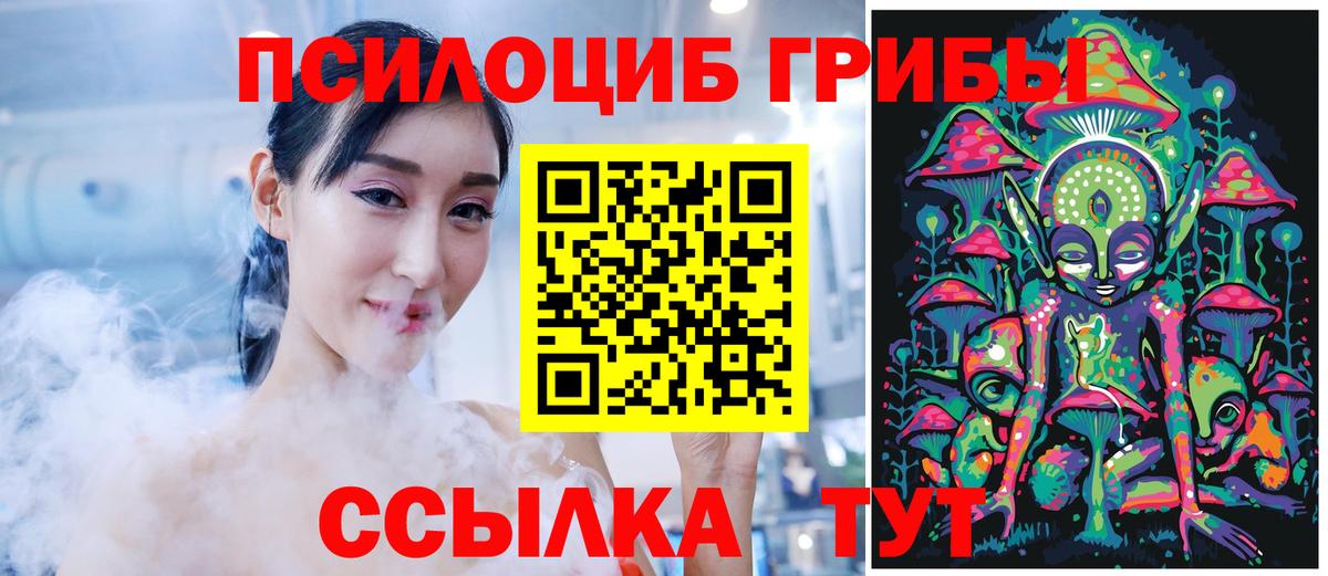 Галлюциногенные грибы Psilocybine cubensis Кашира